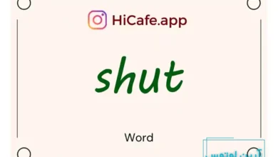 Meaning and usage of shut word