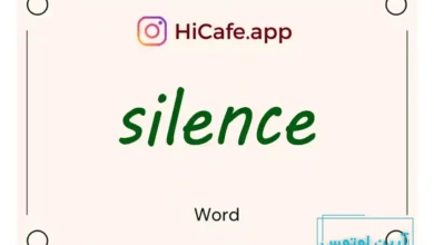 Meaning and usage of silence word