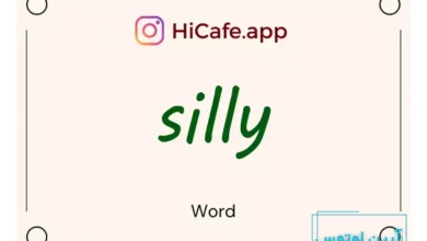 Meaning and usage of silly word