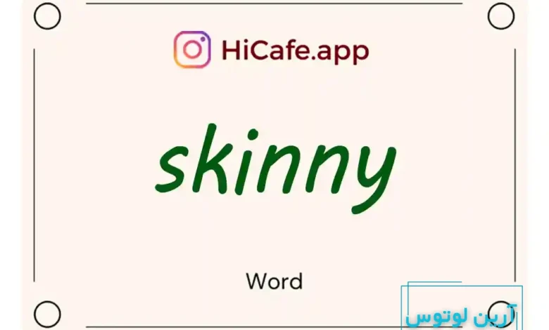 Meaning and usage of skinny word