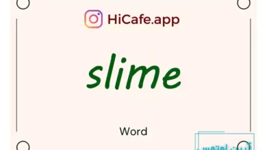 Meaning and usage of slime word