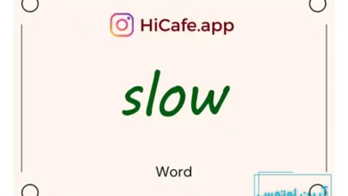 Meaning and usage of slow word