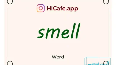Meaning and usage of smell word