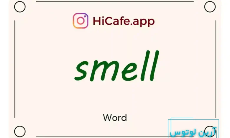Meaning and usage of smell word