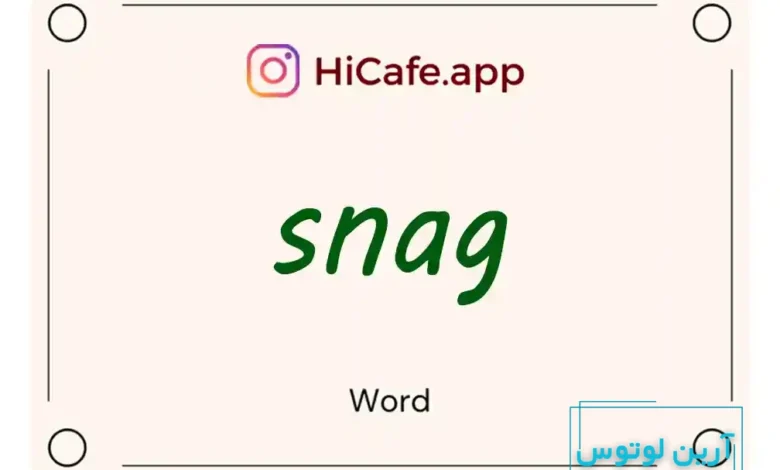 Meaning and usage of snag word