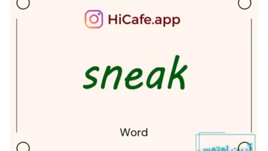 Meaning and usage of sneak word