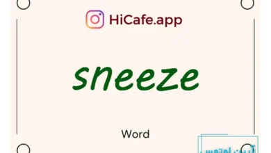 Meaning and usage of sneeze word