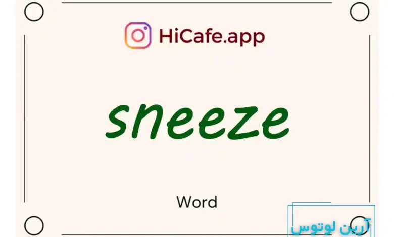 Meaning and usage of sneeze word