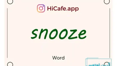 Meaning and usage of snooze word