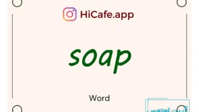Meaning and usage of soap word