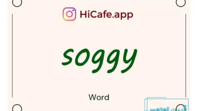Meaning and usage of soggy word