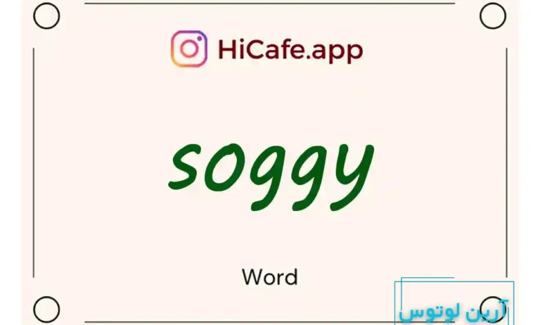 Meaning and usage of soggy word