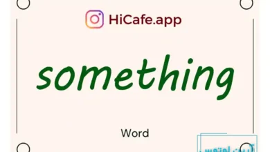 Meaning and usage of something word