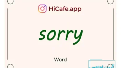 Meaning and usage of sorry word