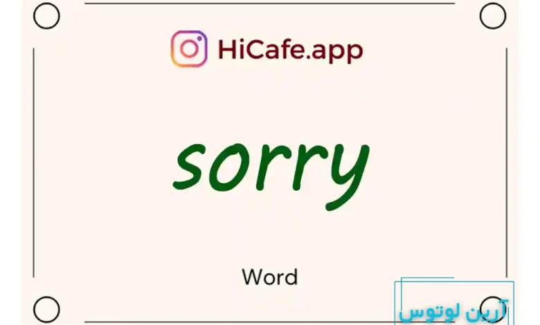 Meaning and usage of sorry word