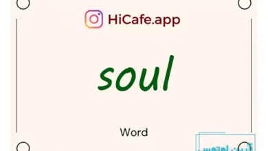 Meaning and usage of soul word