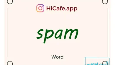 Meaning and usage of spam word
