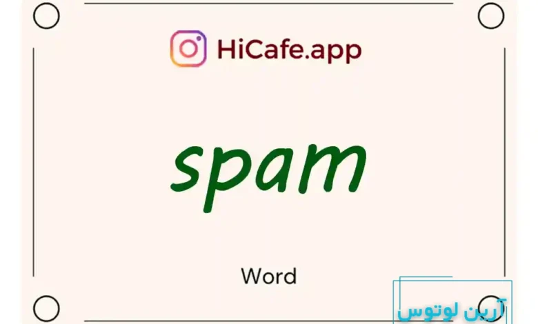 Meaning and usage of spam word