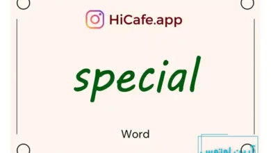 Meaning and usage of special word
