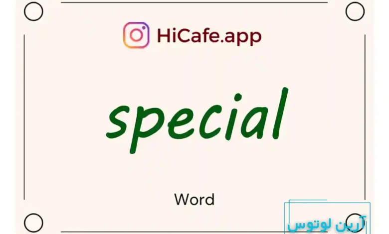 Meaning and usage of special word
