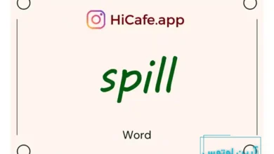 Meaning and usage of spill word