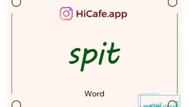 Meaning and usage of spit word