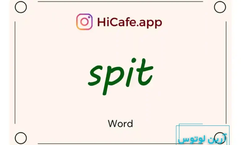 Meaning and usage of spit word