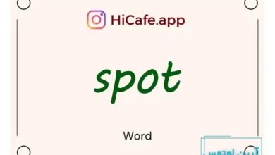 Meaning and usage of spot word