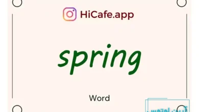 Meaning and usage of spring word