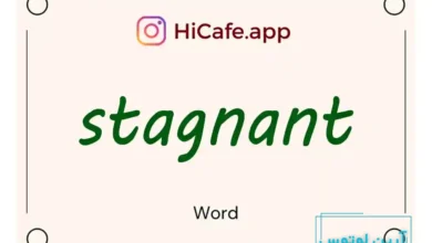 Meaning and usage of stagnant word