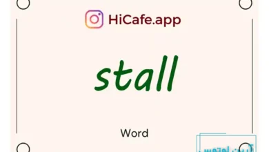 Meaning and usage of stall word