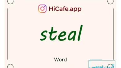 Meaning and usage of steal word