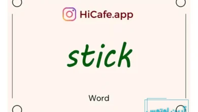 Meaning and usage of stick word