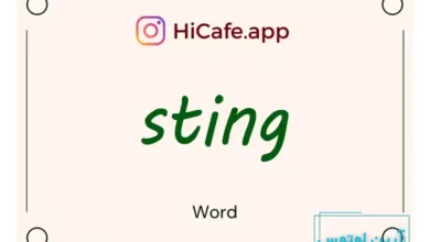 Meaning and usage of sting word