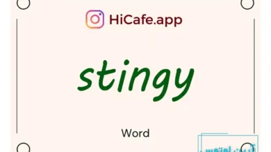 Meaning and usage of stingy word