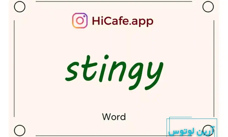 Meaning and usage of stingy word