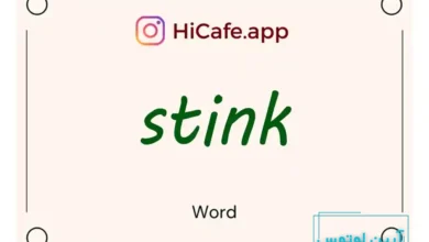 Meaning and usage of stink word