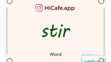 Meaning and usage of stir word