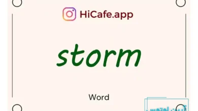 Meaning and usage of storm word