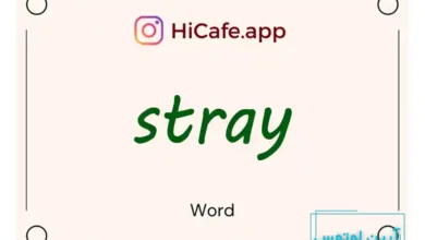 Meaning and usage of stray word