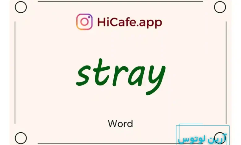 Meaning and usage of stray word