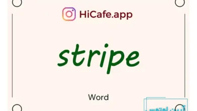 Meaning and usage of stripe word