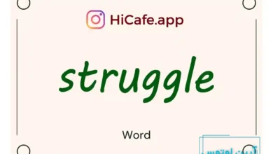 Meaning and usage of struggle word
