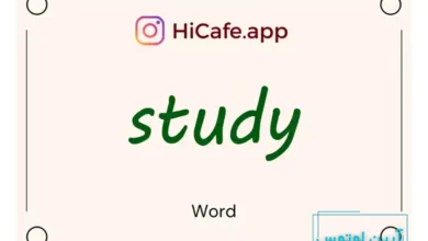 Meaning and usage of study word
