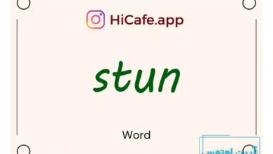 Meaning and usage of stun word