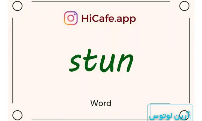 Meaning and usage of stun word