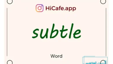 Meaning and usage of subtle word