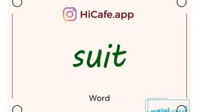 Meaning and usage of suit word