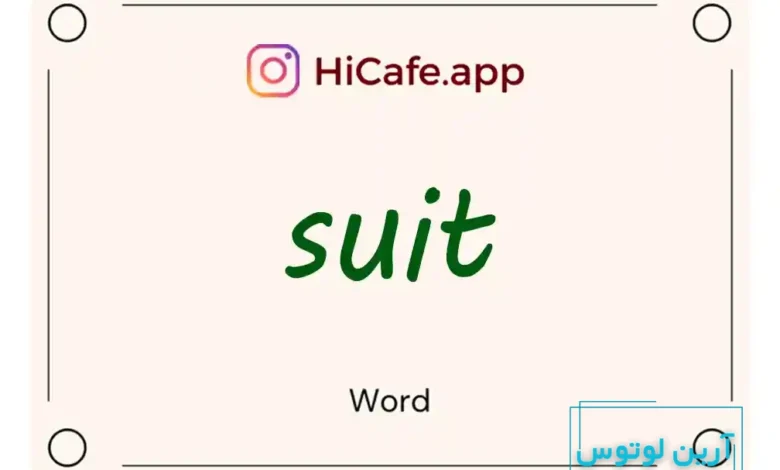 Meaning and usage of suit word