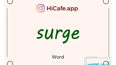 Meaning and usage of surge word